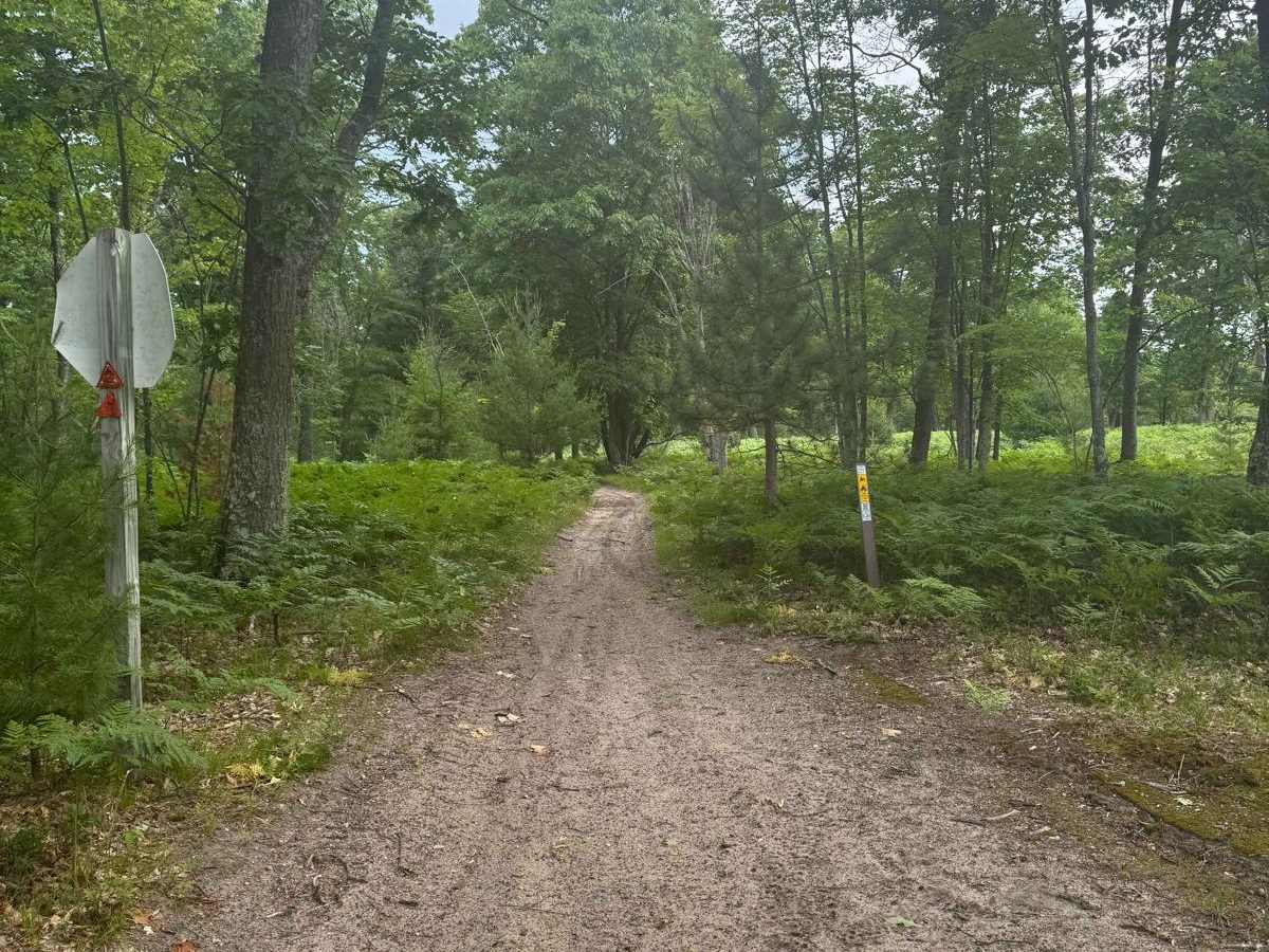 North Missaukee Central MCCCT trail photo