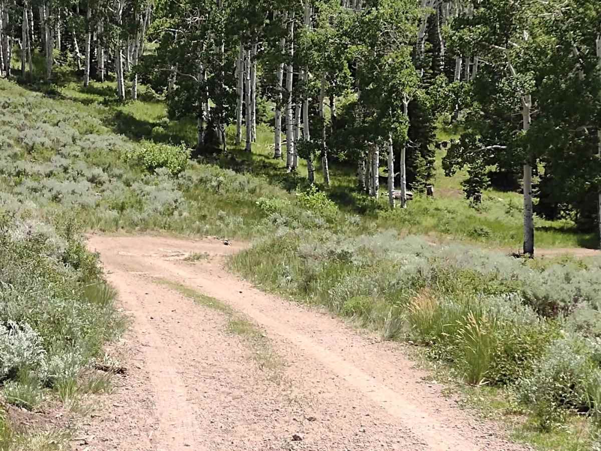 Hunts Lakes Loop - FS 40075 photo 2