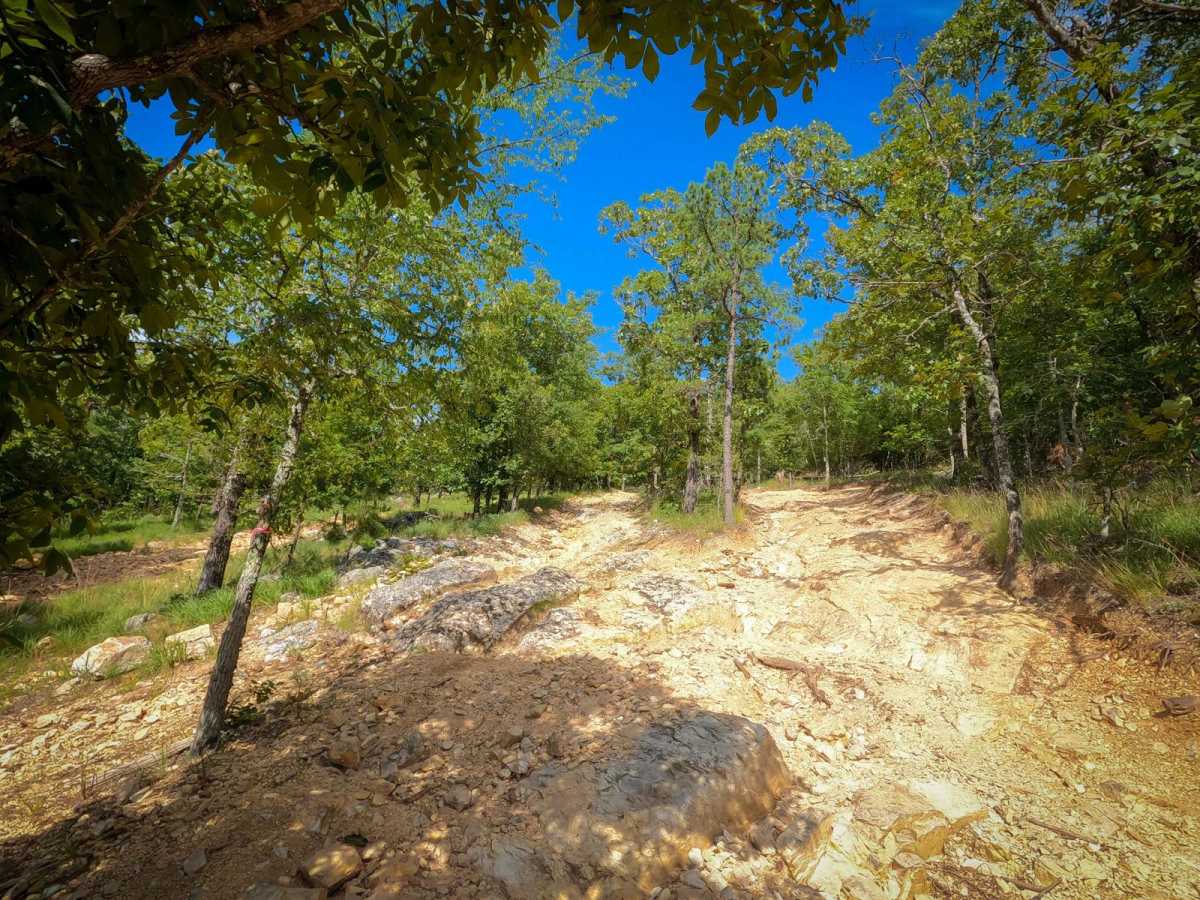 AR 2 - Main Park Road trail photo