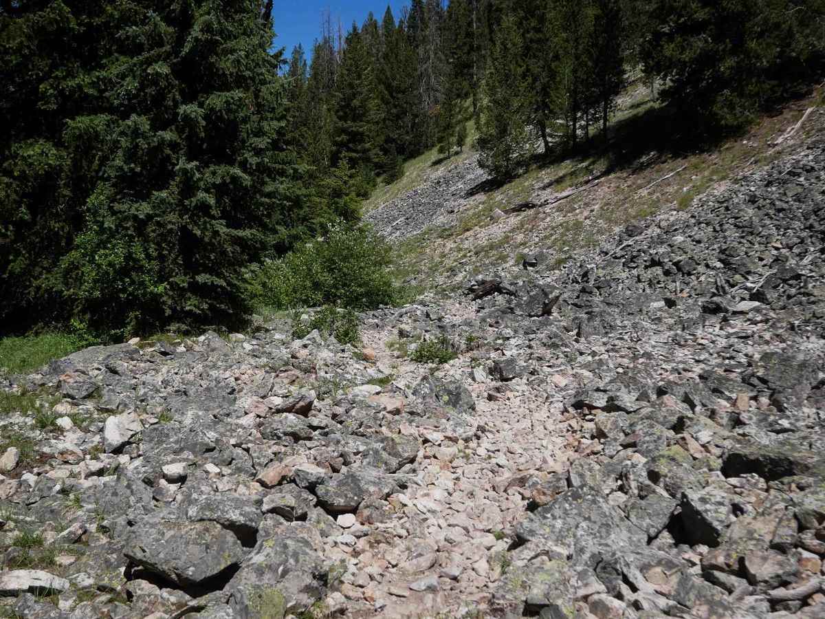 Shields Creek photo 3