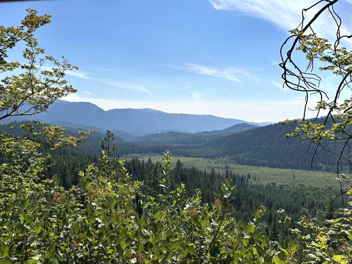 Meadow Ridge Trail trail photo