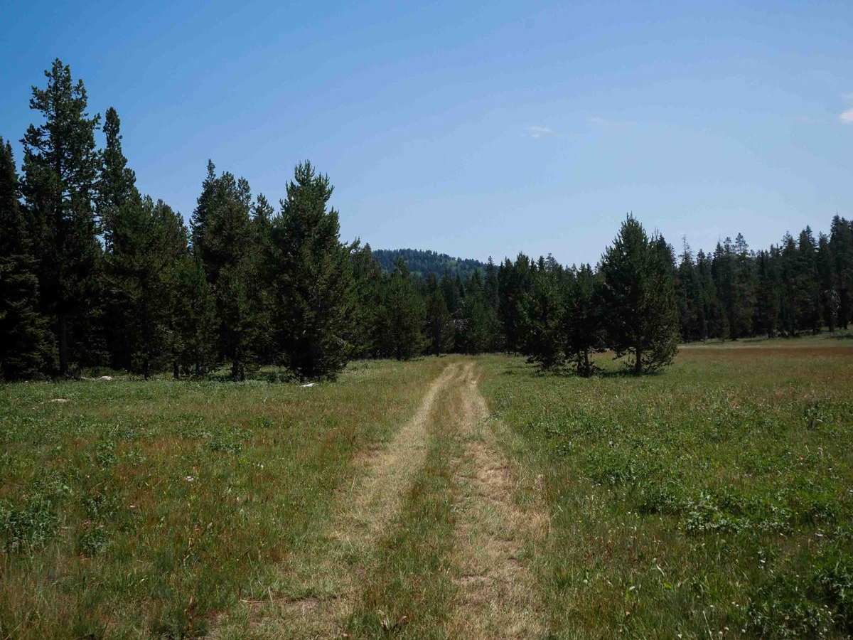 Moonlight Meadow #3404 photo 2
