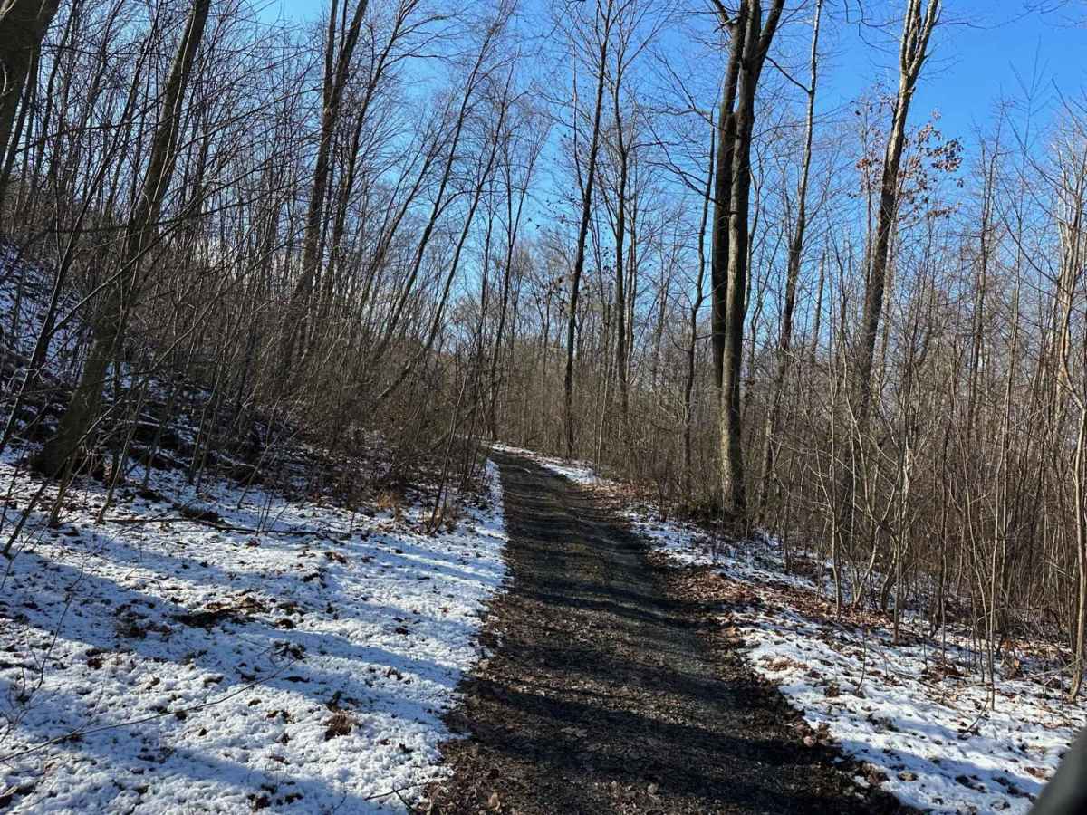 Locust Gap 71 photo 5