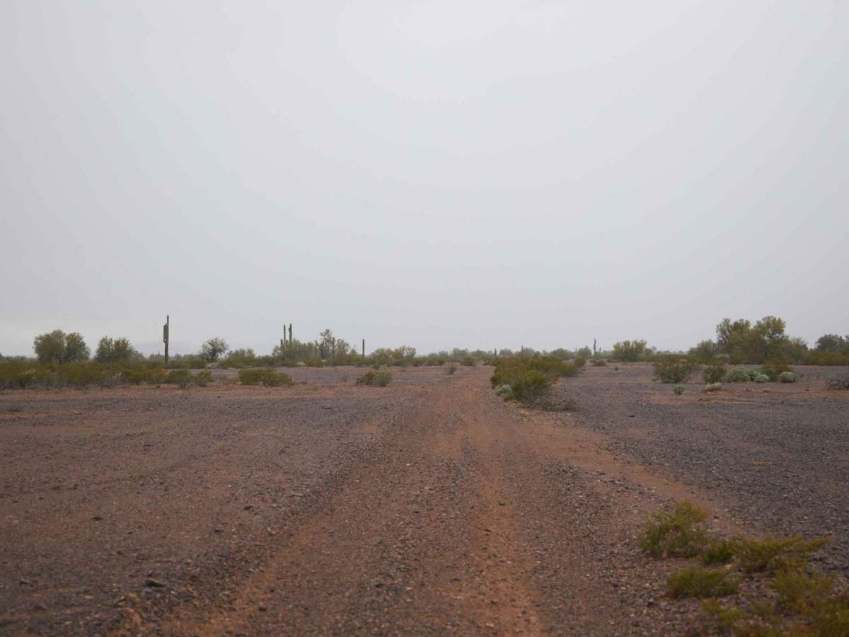 BLM AZ 065 photo 6