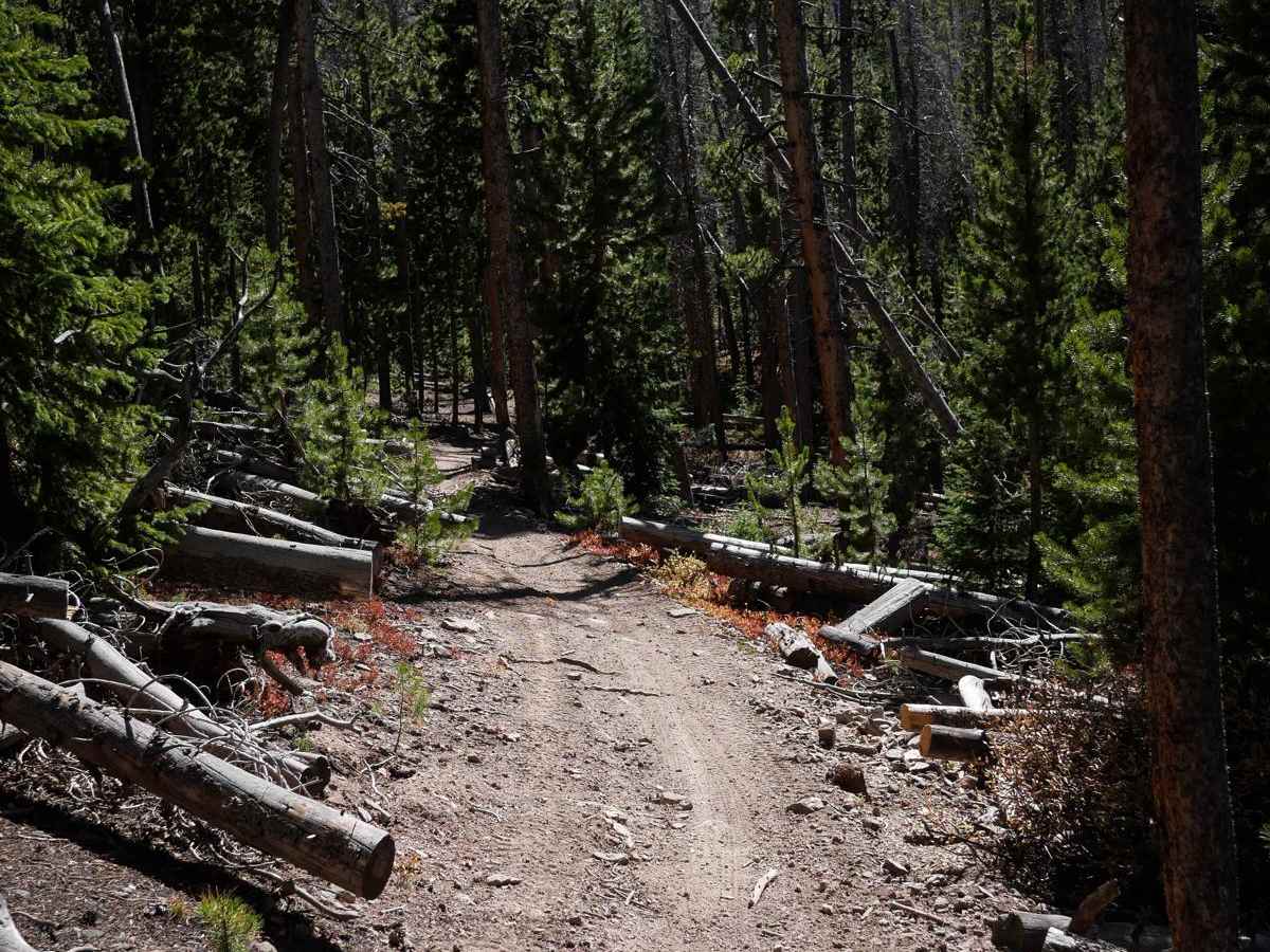 Upper Elk Creek ATV photo 5