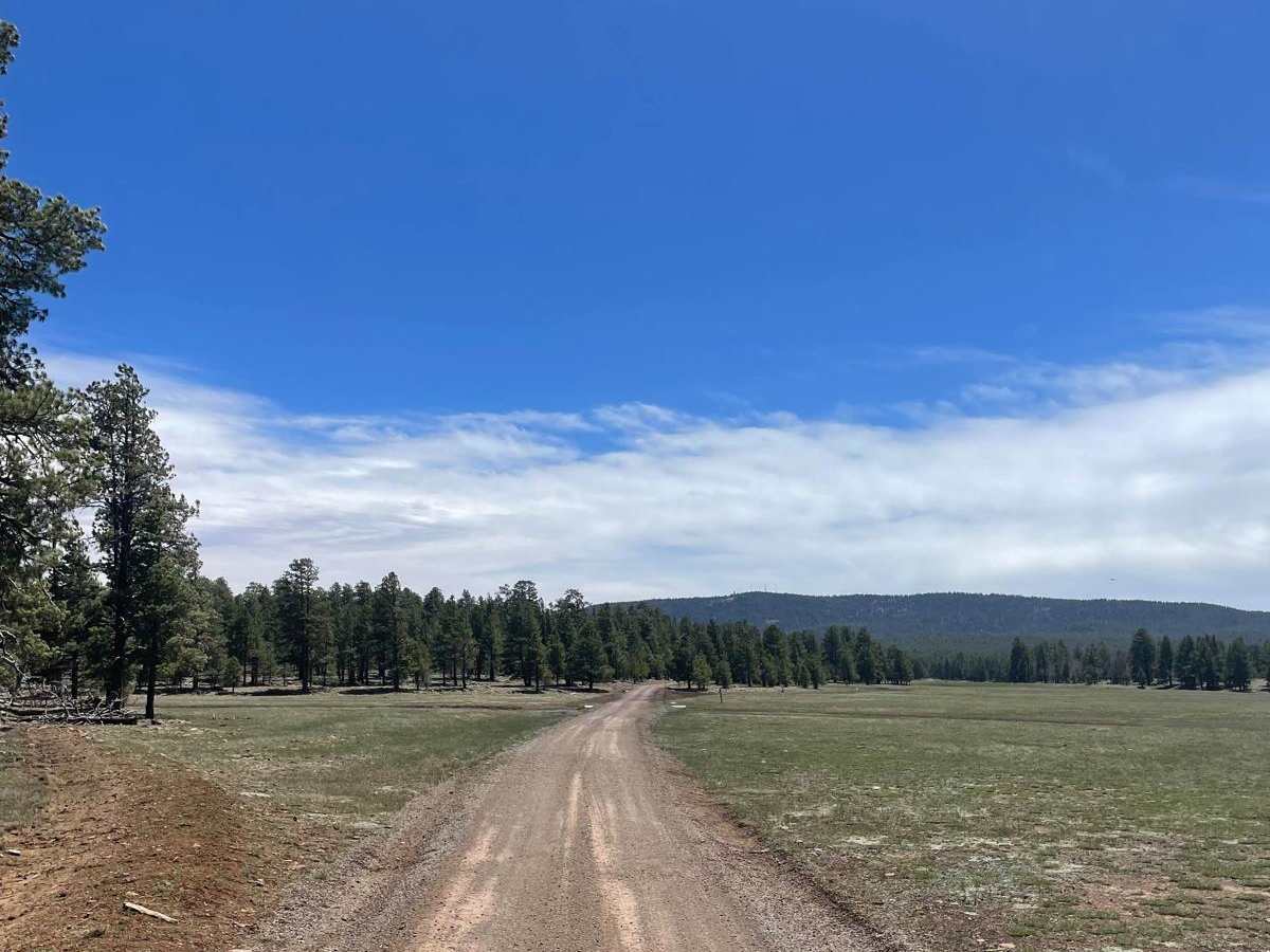 FS 132 and Chill trail photo