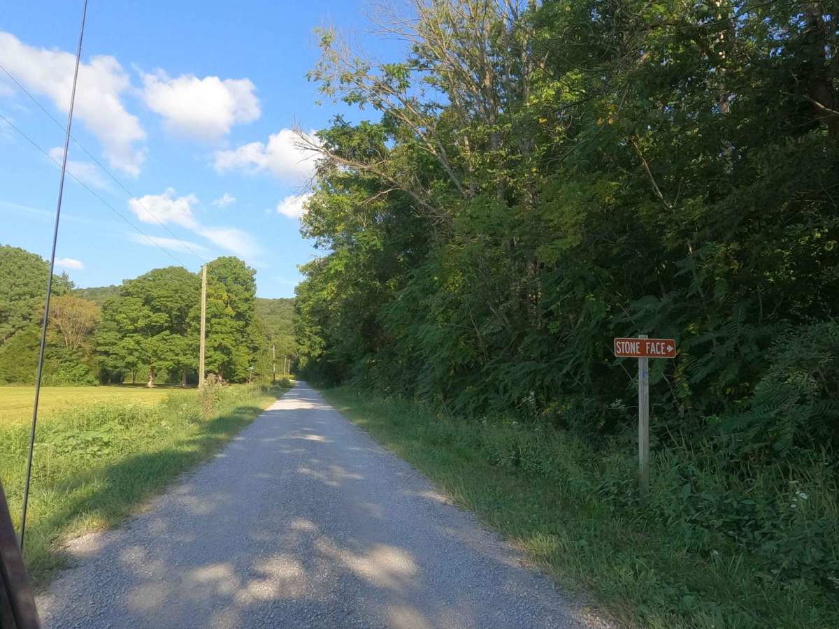 Stone Face Lane - FS 1453 photo 3
