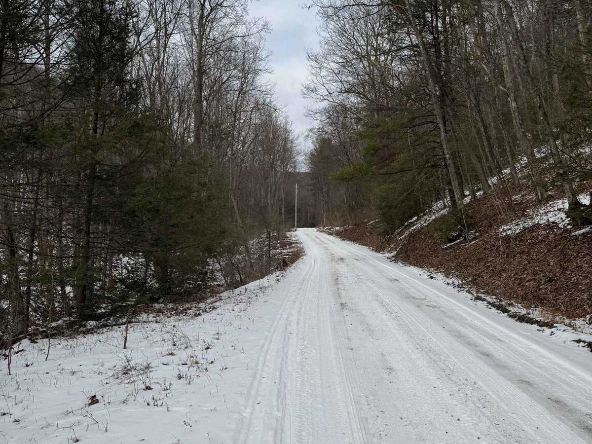 Jones Mountain Road photo 5