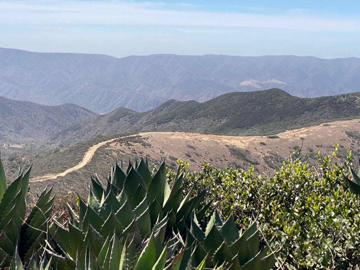 Bahia Soledad trail photo