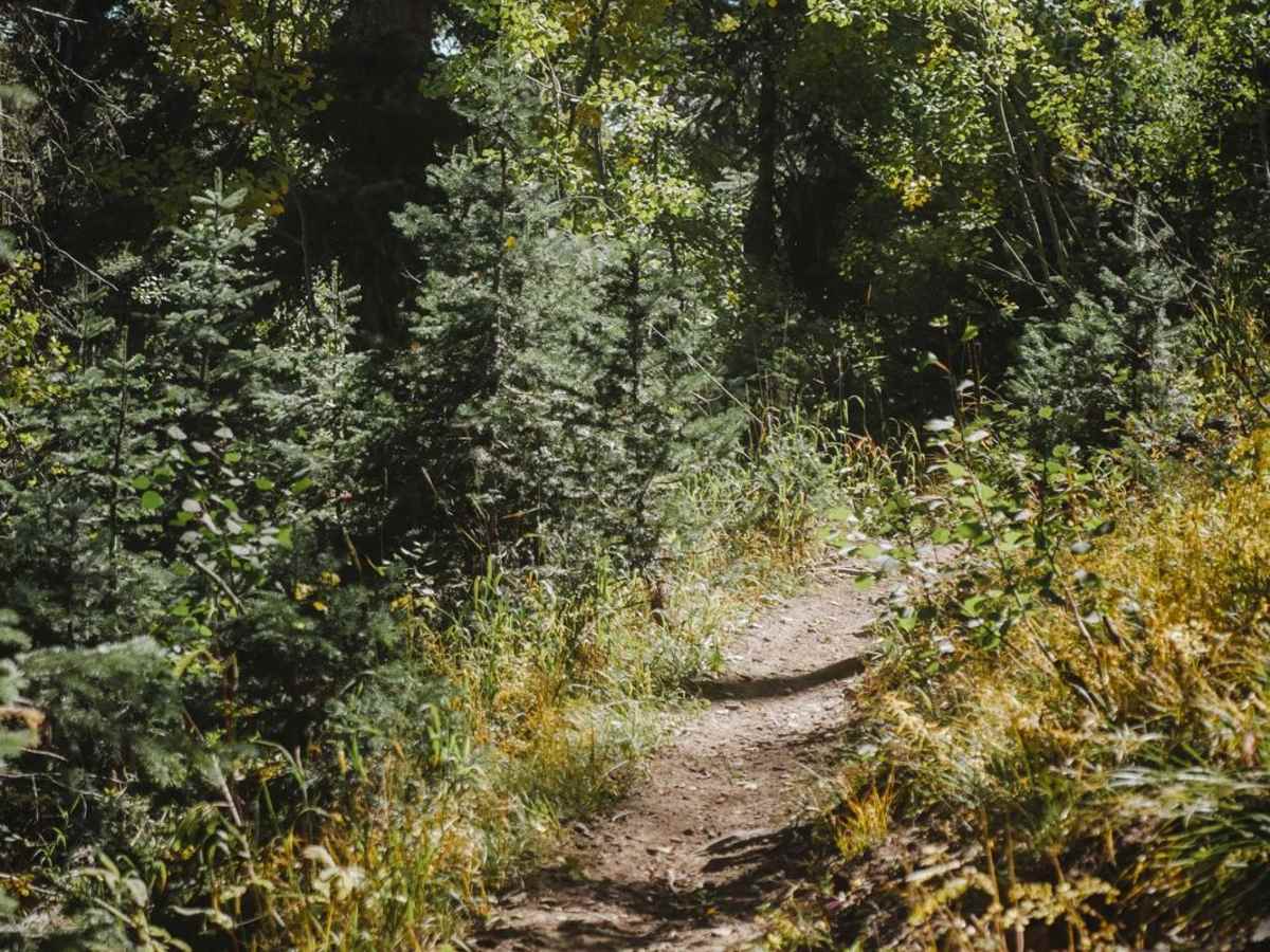Little Red Trail photo 3