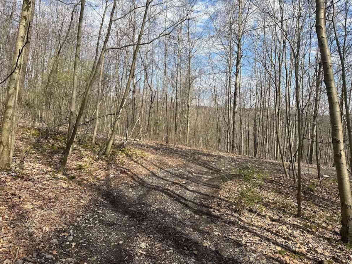 Ashland 116 photo 6