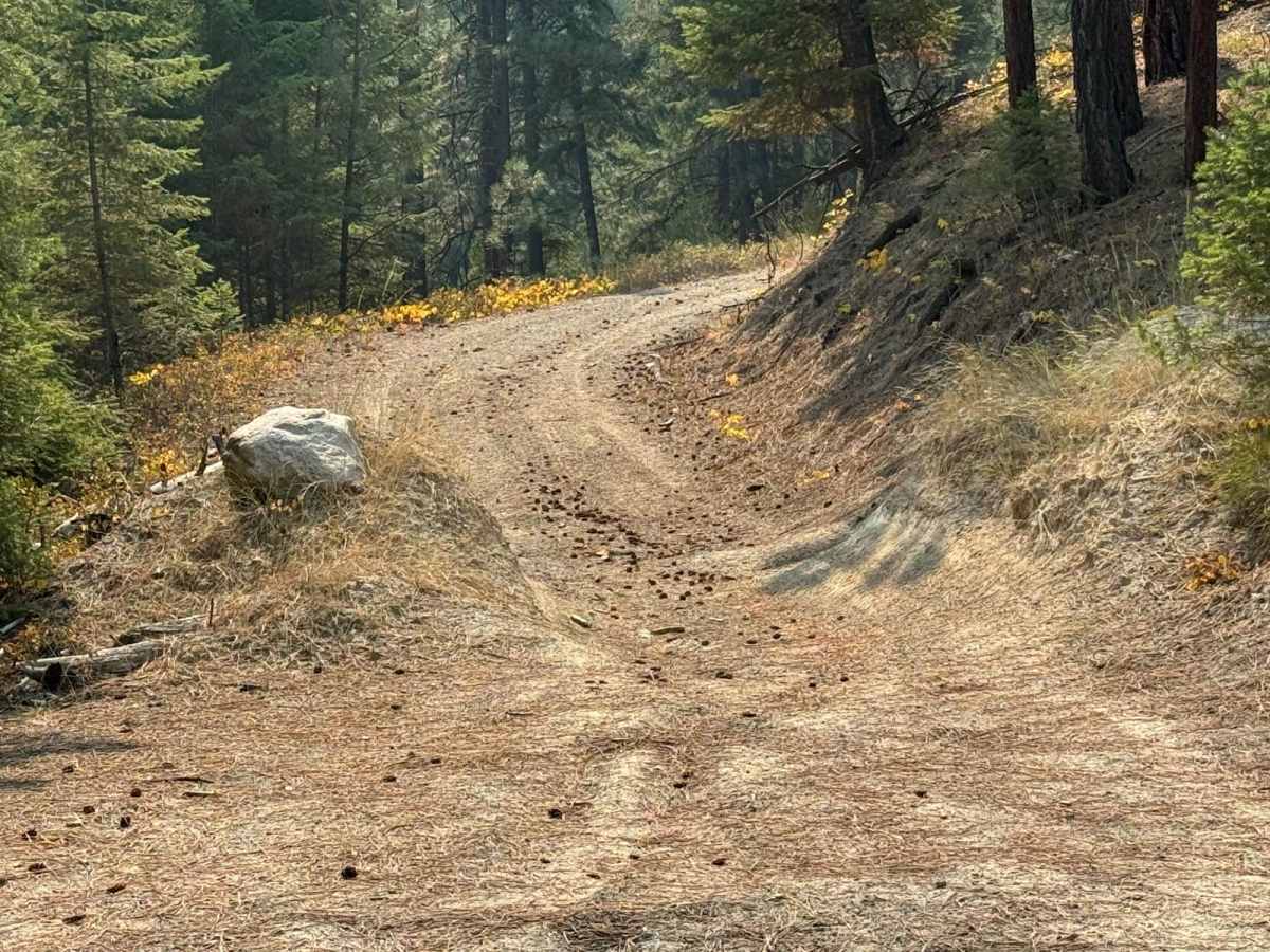 Burnt Ridge photo 2