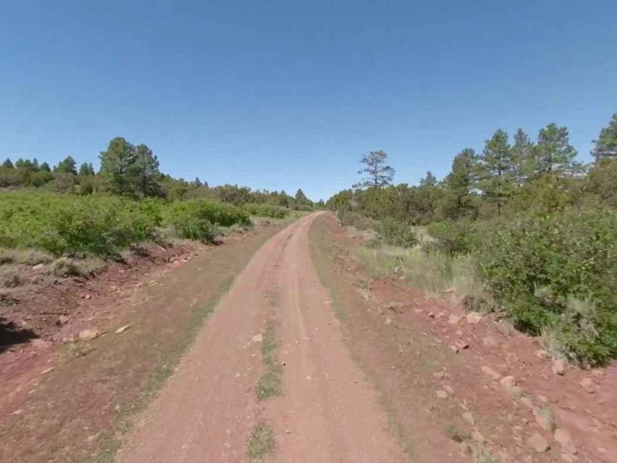 Black Rock Road East-BLM1004 photo 2