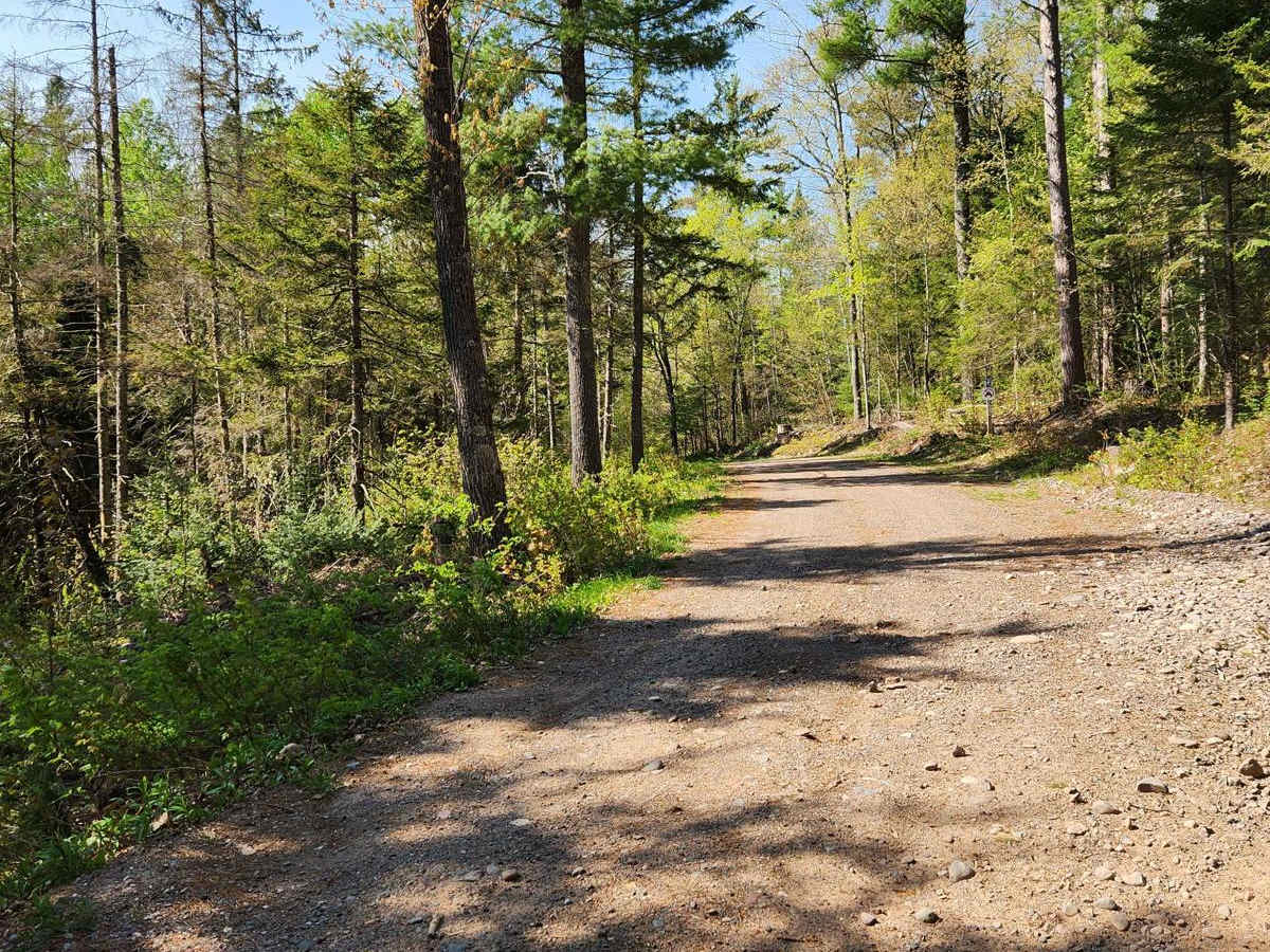 Trail 8 photo 5