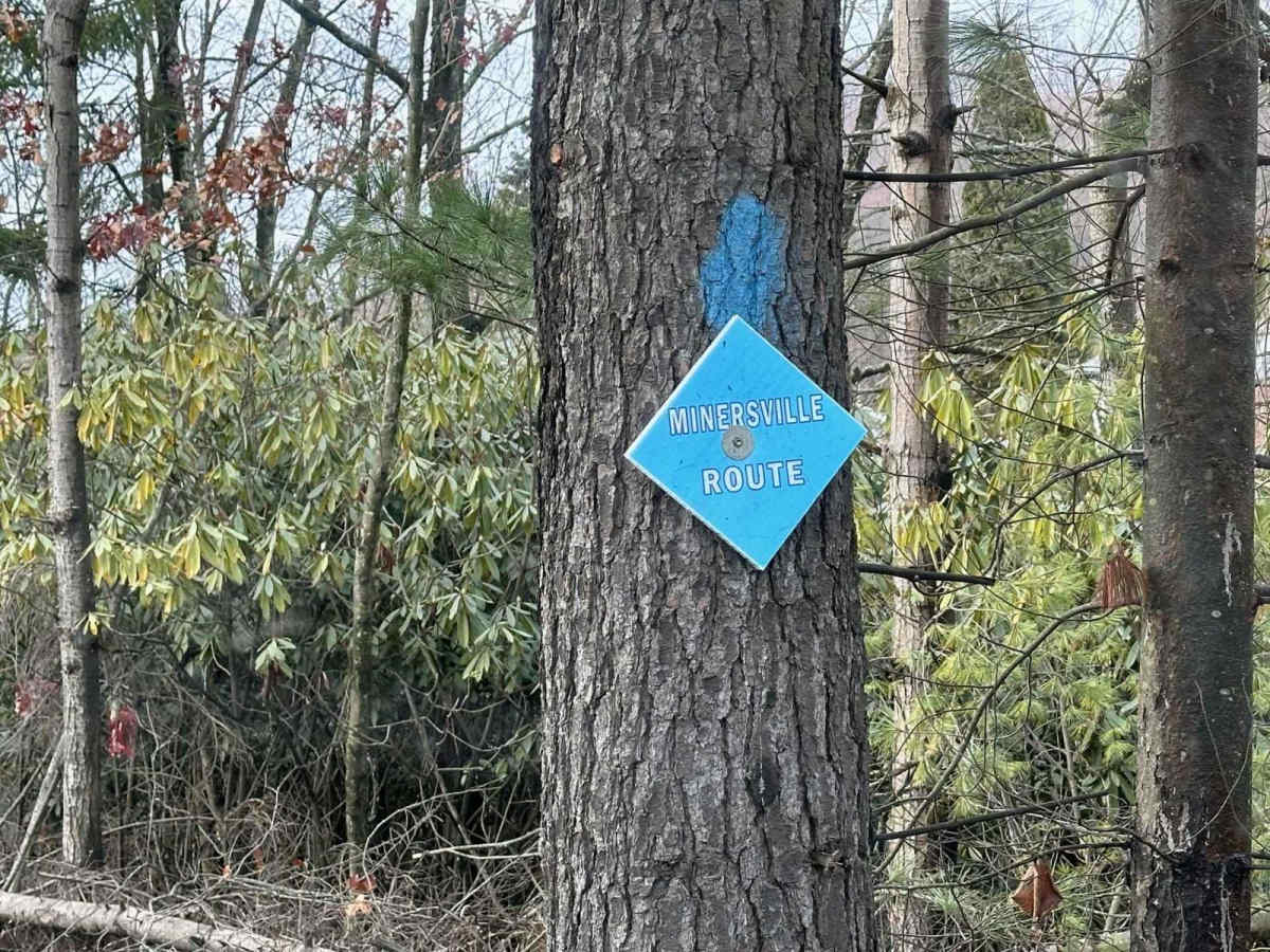 Minersville route trail photo