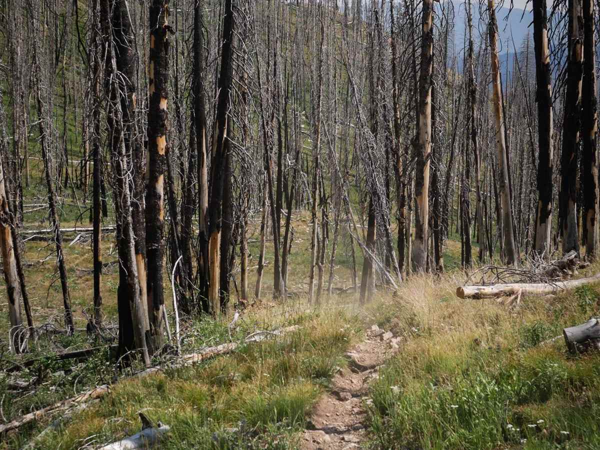 Hay Knapp Creek (South) photo 3