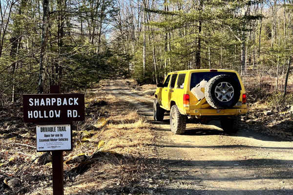 Sharpback Hollow Road