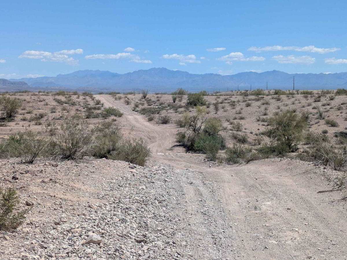 BLM 4341 photo 2