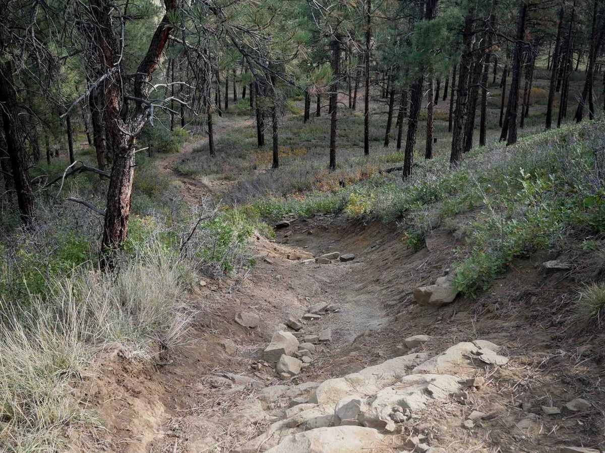 Ridge photo 3
