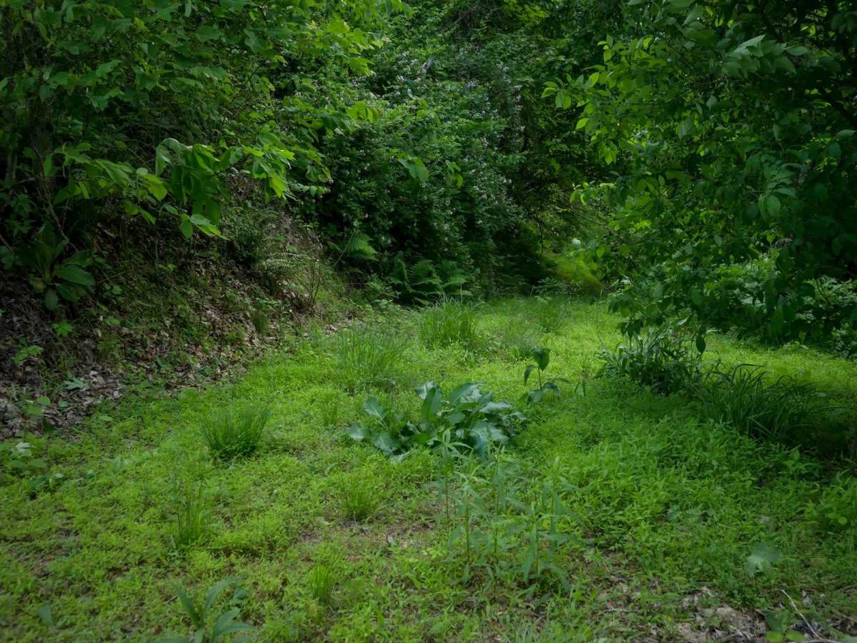RV51 photo 6