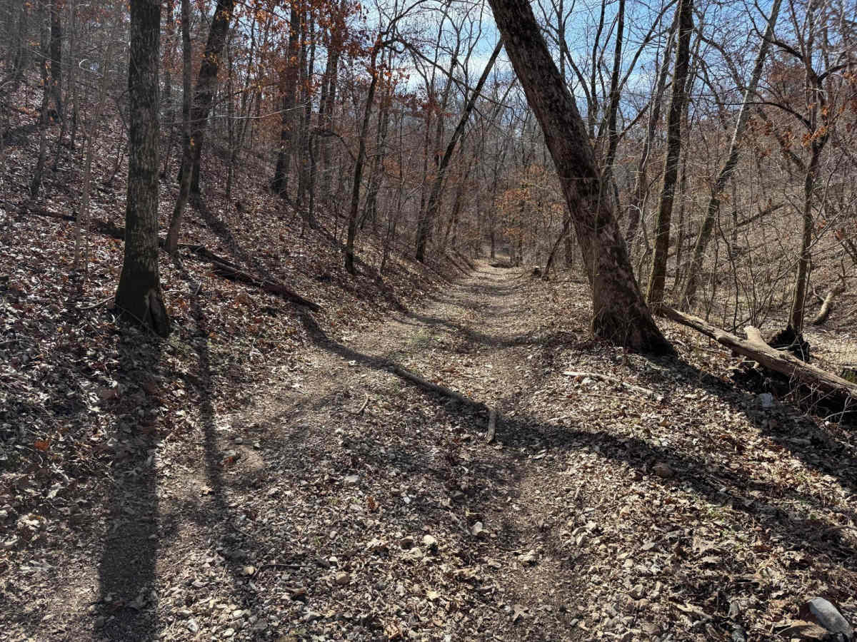 Morgans Creek 377 photo 4