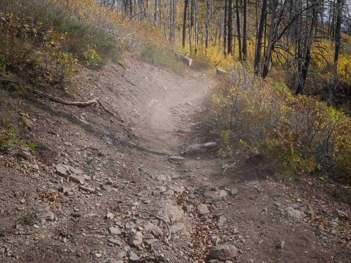 Hermosa Creek photo 4