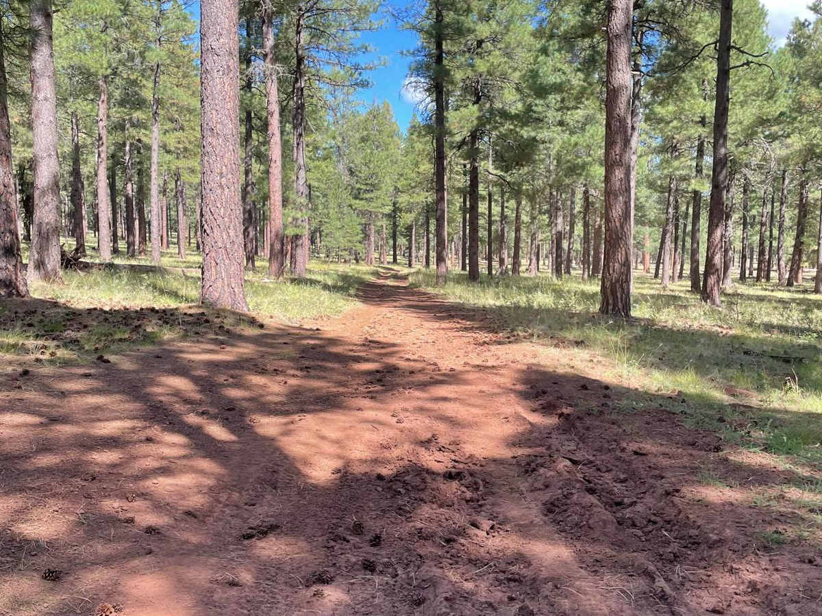 Potato Patch Tank Trail photo 3