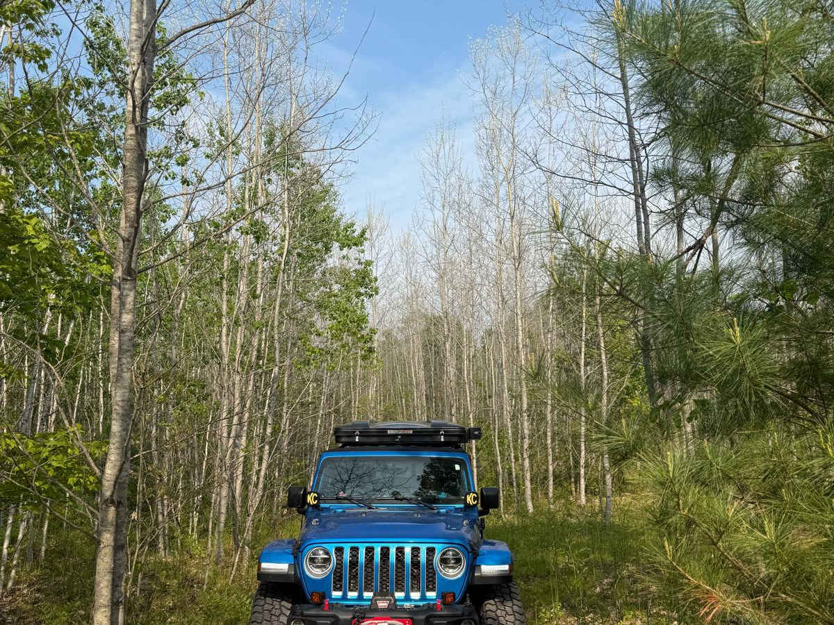 39-1/4 Trail photo 6