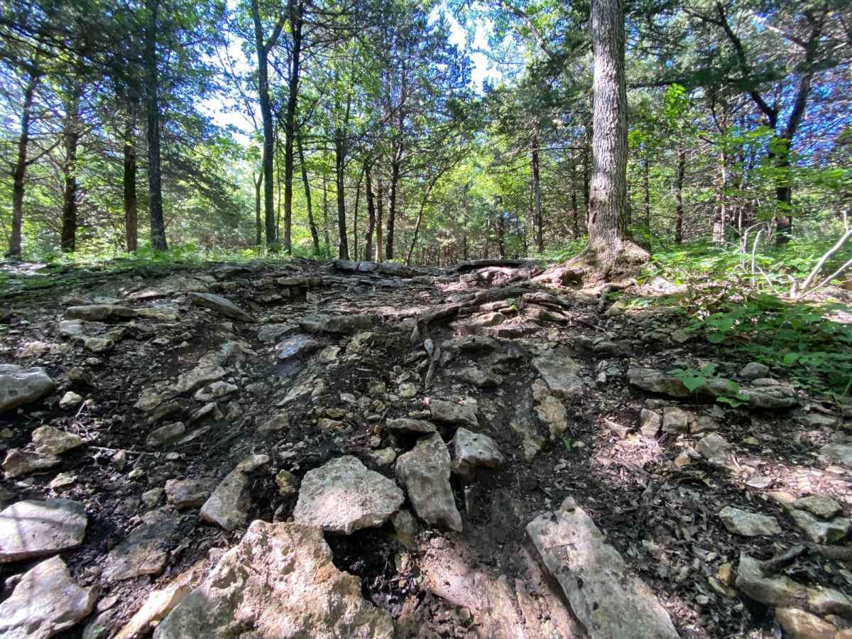 Sprattsville Trail photo 2