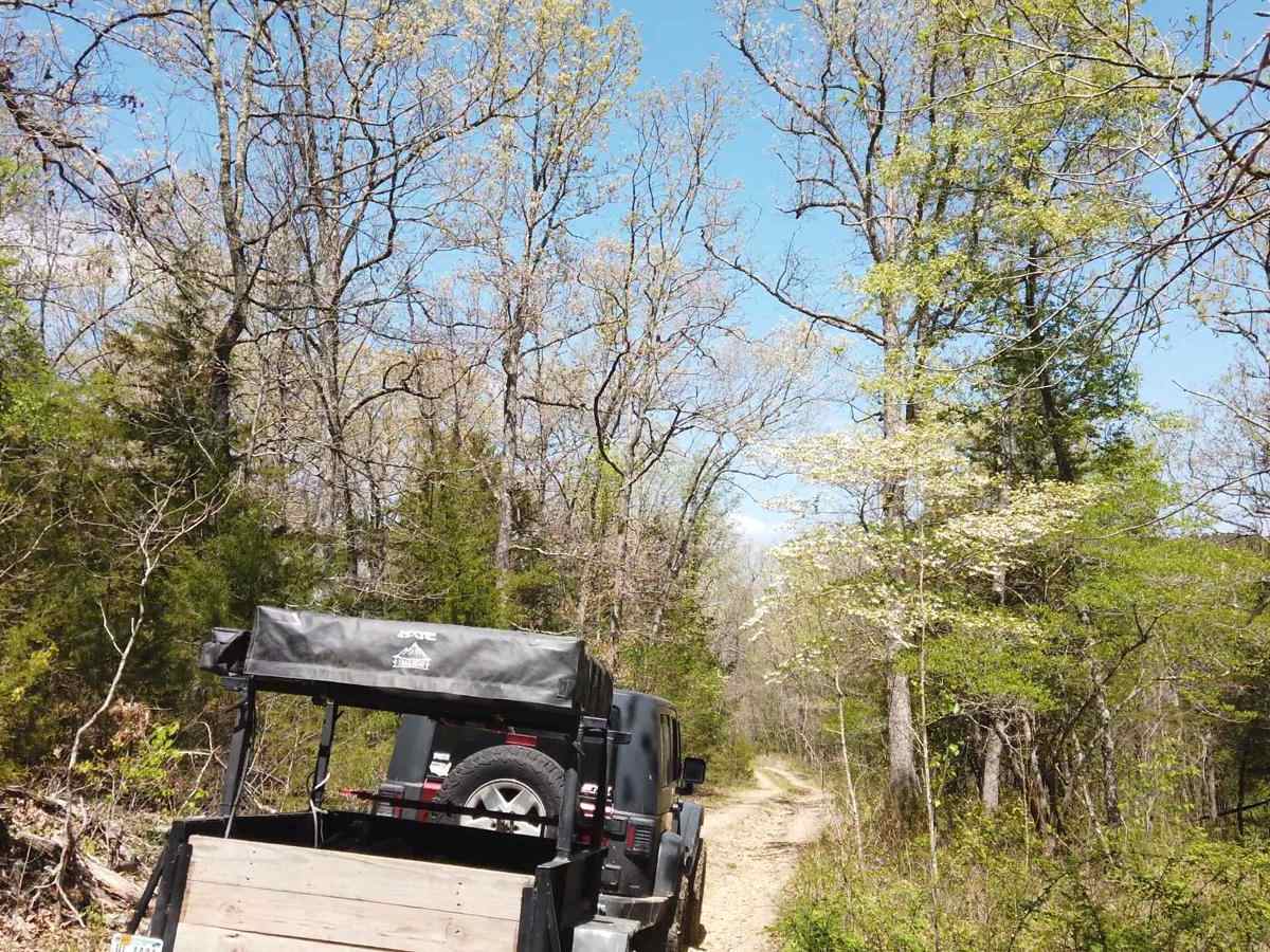West Boundary FR 1672 photo 3