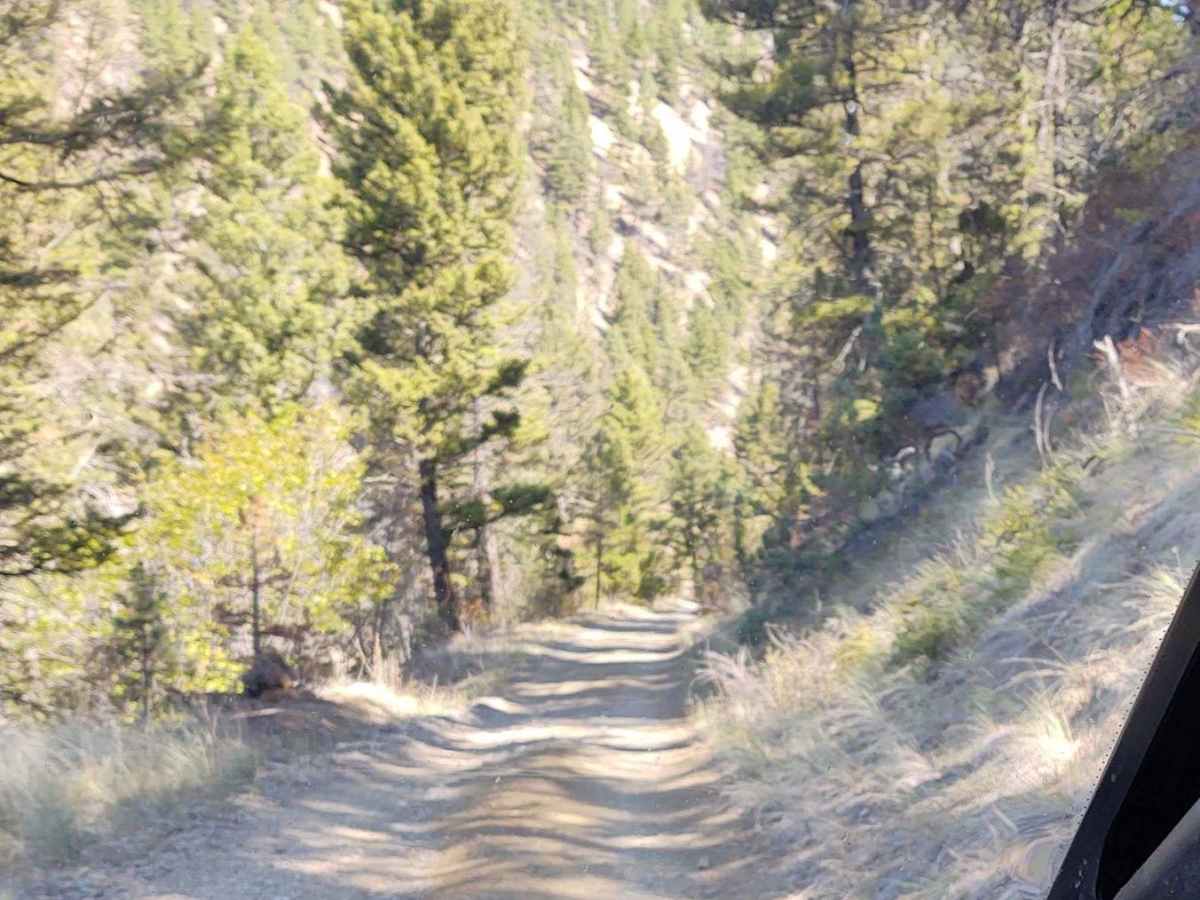 York Gulch trail photo