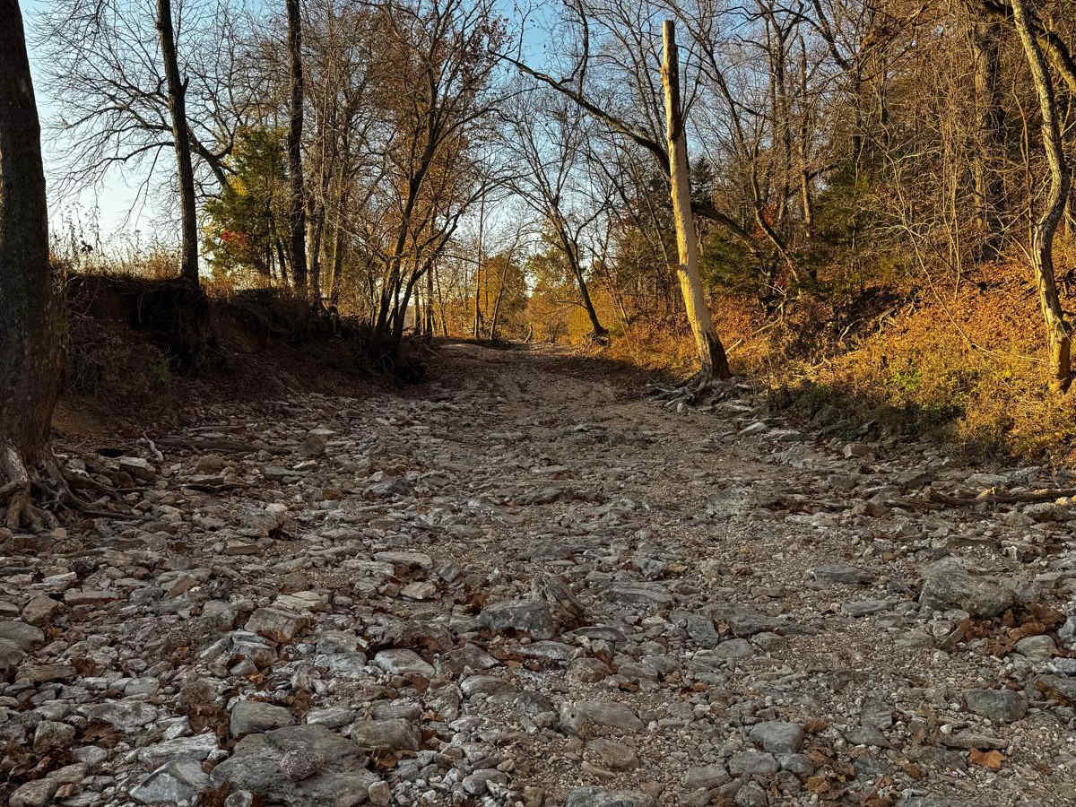 Main Creek photo 6