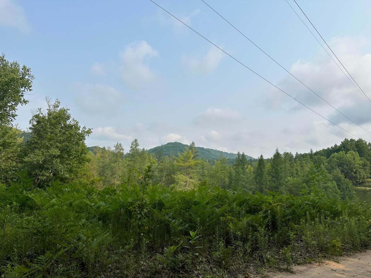 Upper River Road photo 5