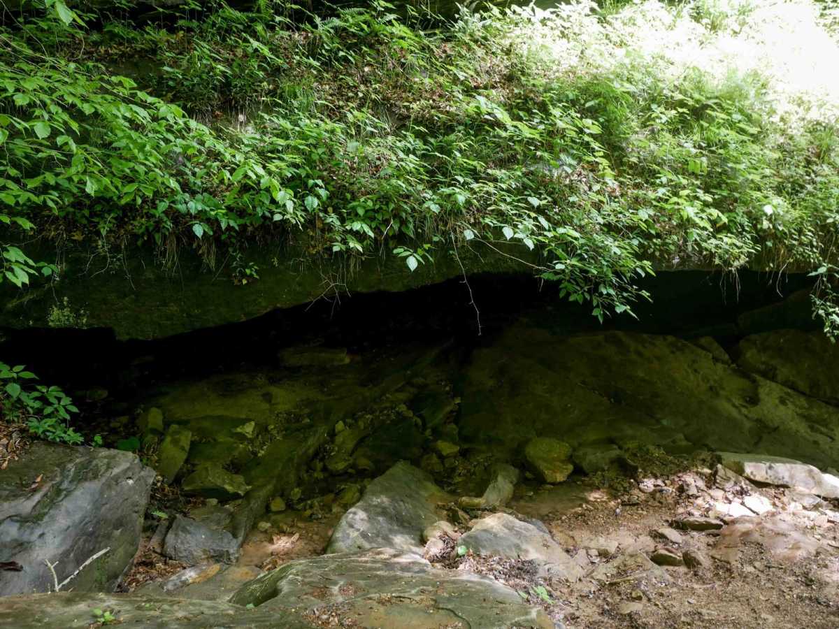 IB 90 photo 6