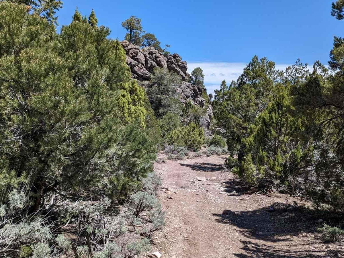 Lamerdorf Kiln Trail photo 4