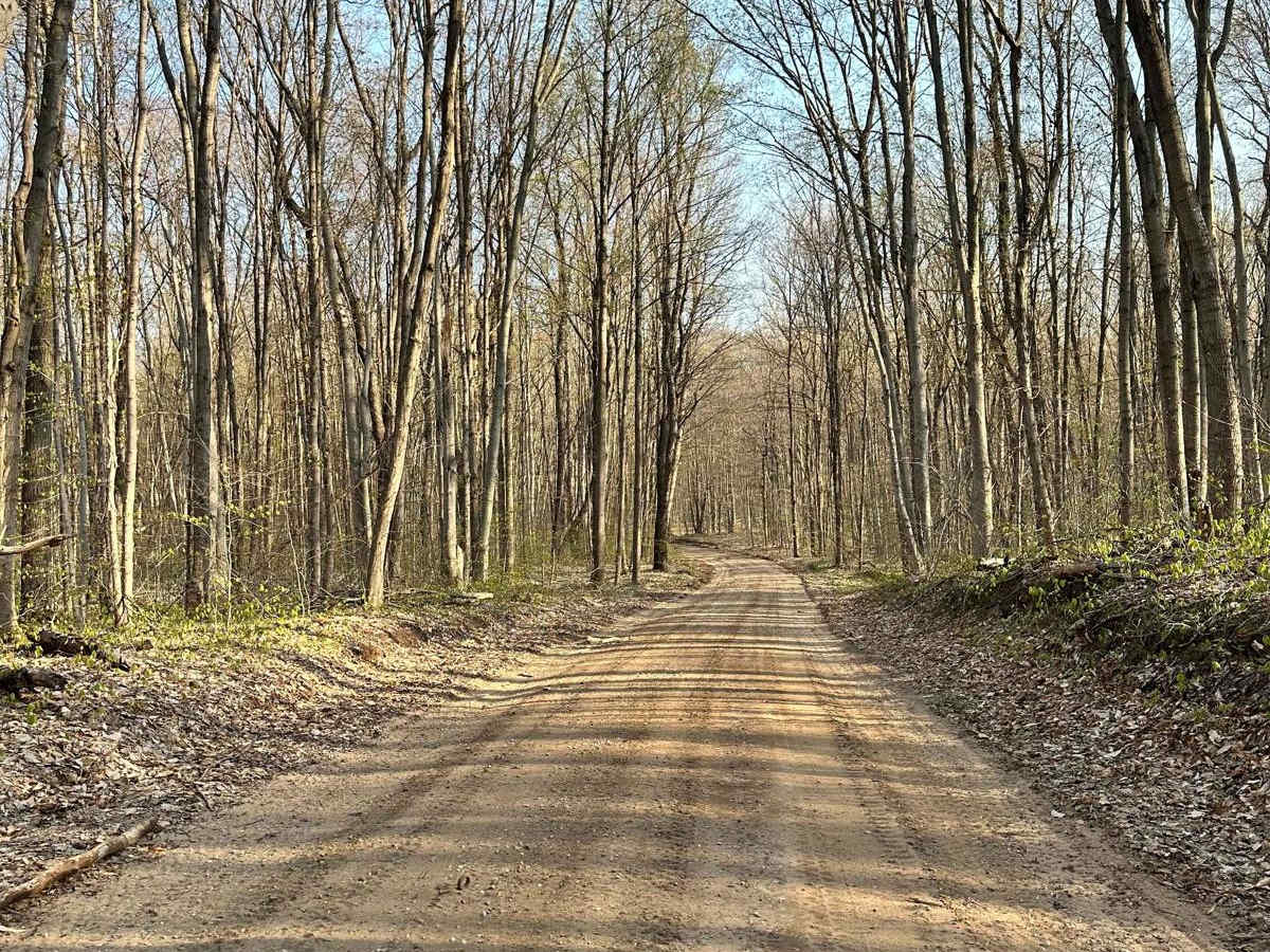 Cadillac Area ORV/OHV Scenic Ride - Part 6 photo 5