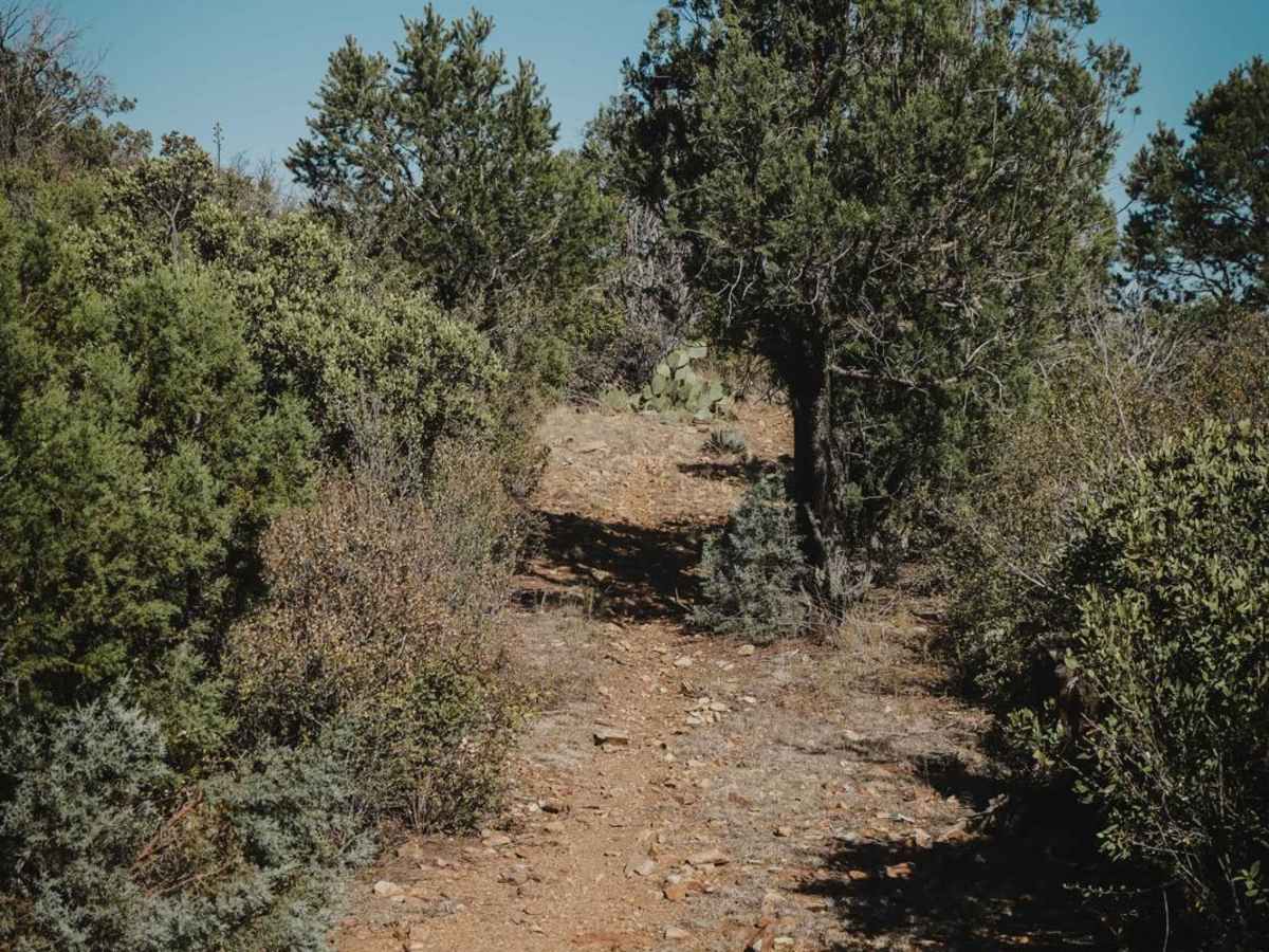 Puke Hill photo 5