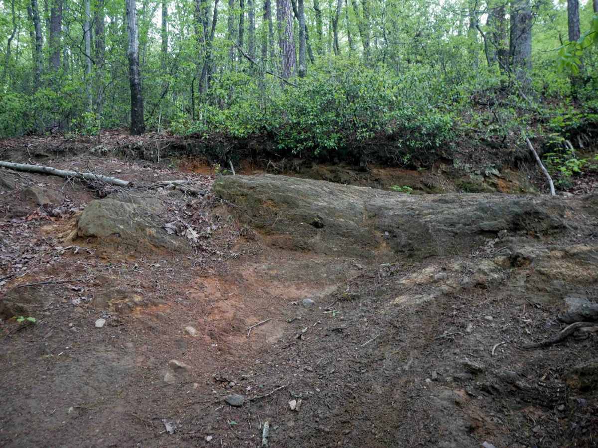 1B trail photo
