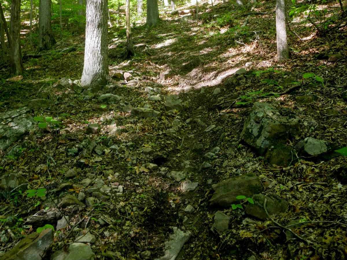 Waterfall Trail photo 5