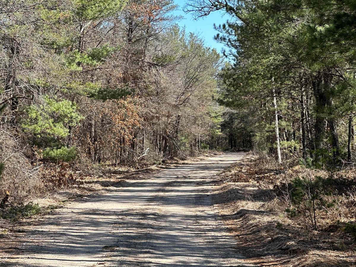 Sand Lake Road - FS 4436 photo 6