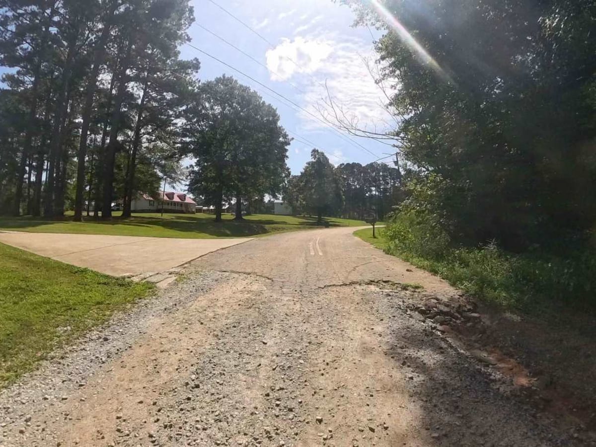 Moss Road photo 3