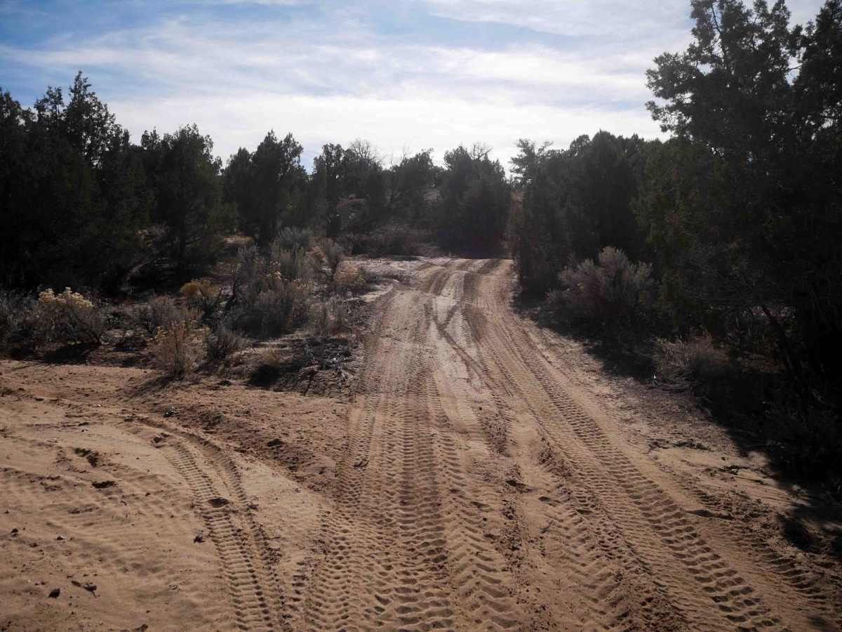 Glade Run ATV photo 6