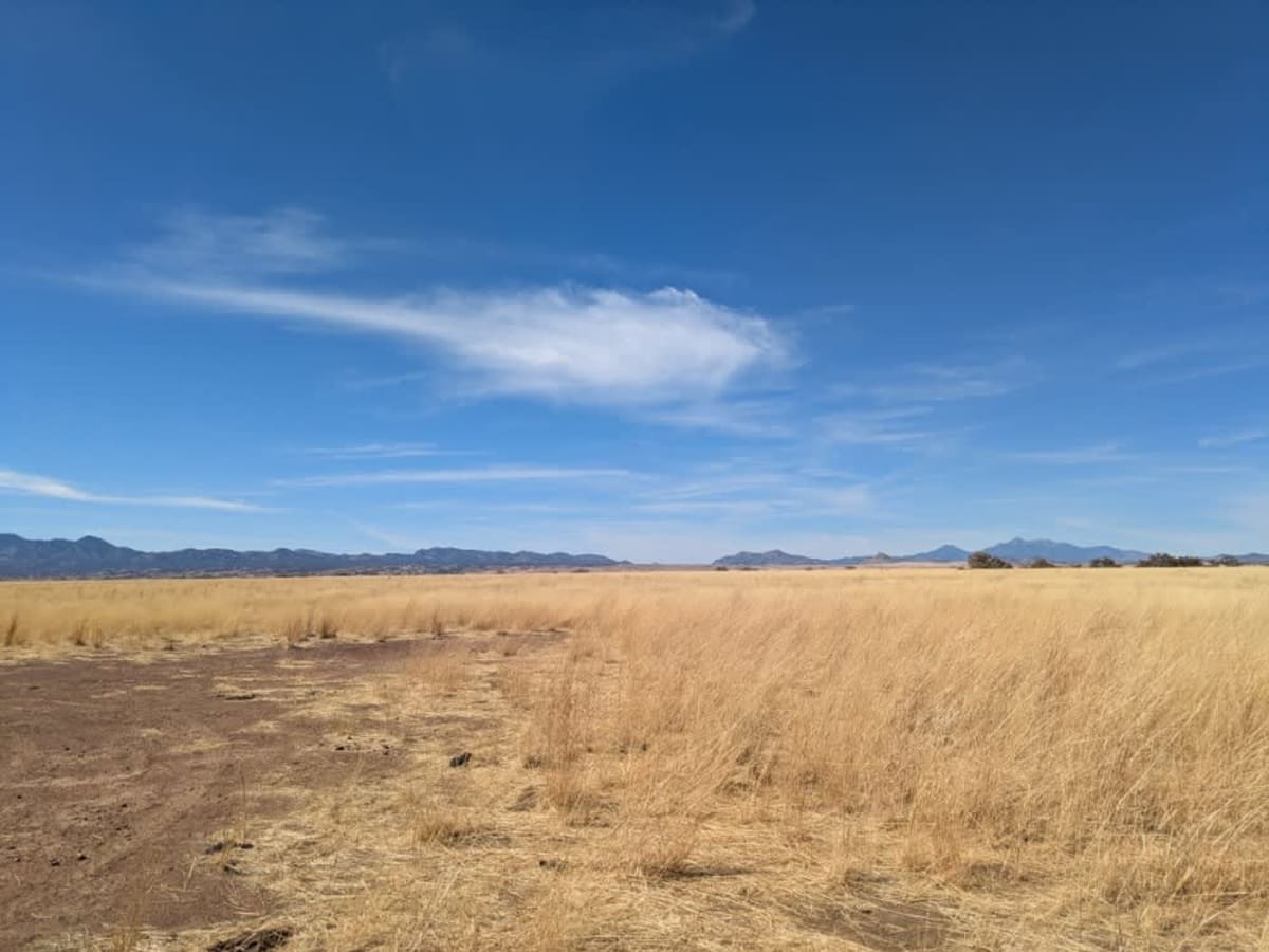 Max Tank Road photo 3