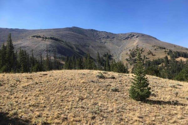 North Creek Trail