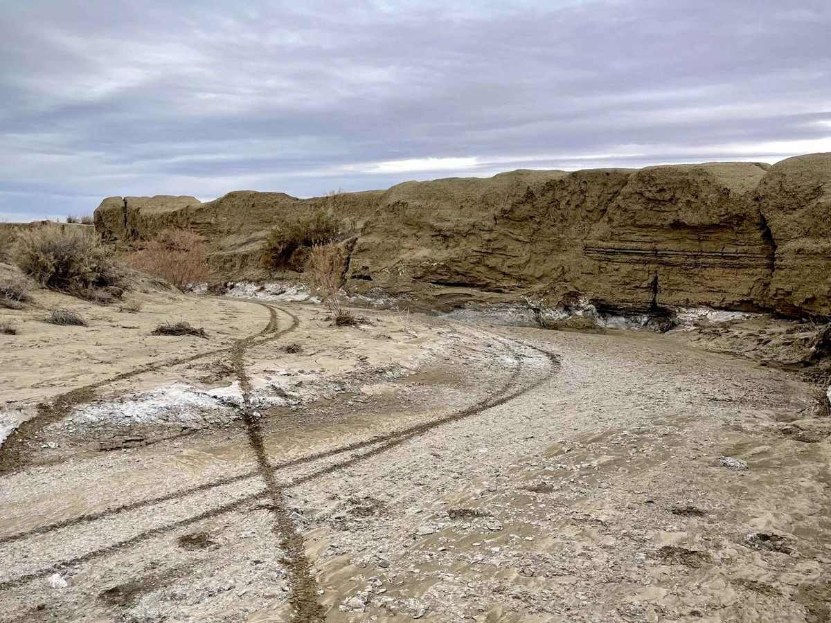 Canyon Wash - BLM 9188 photo 4
