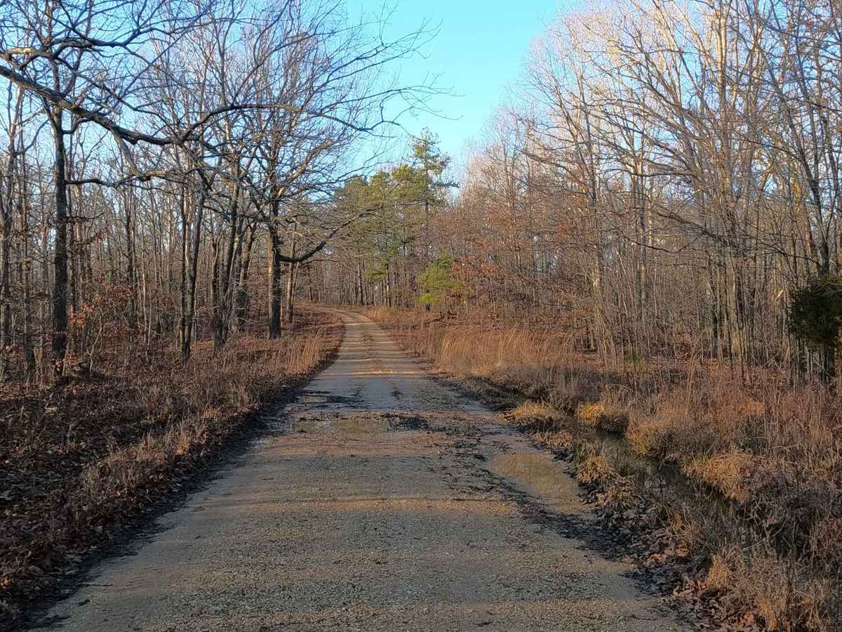 Hematite Tower Road - FS 310 photo 6