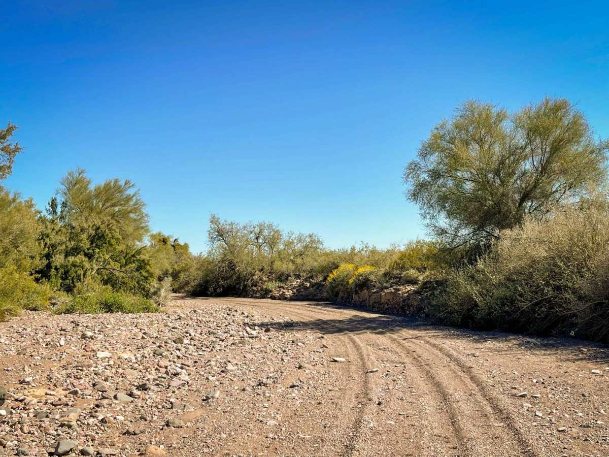 Upper Red Raven Wash photo 6