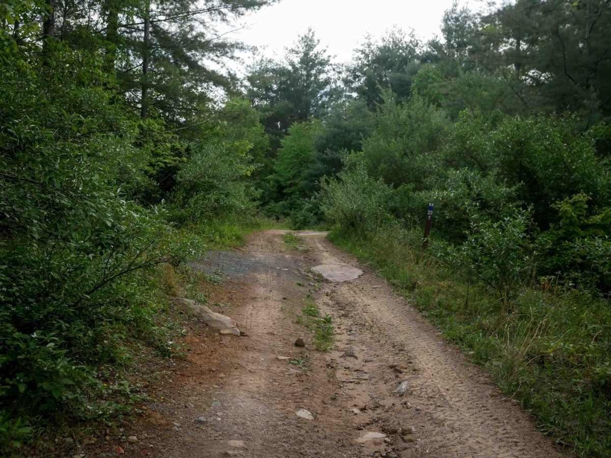 OP 23 trail photo