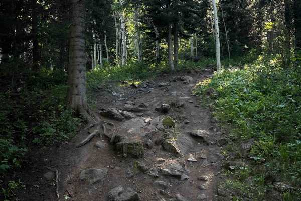 Drake Creek