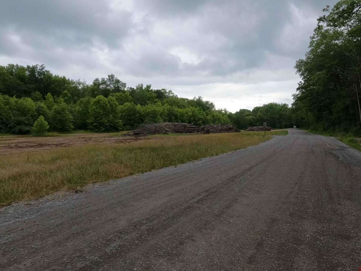 Turkey Creek Road FSR 167 photo 3